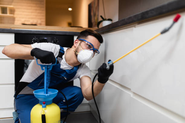 Professional Pest Control in South Ogden, UT