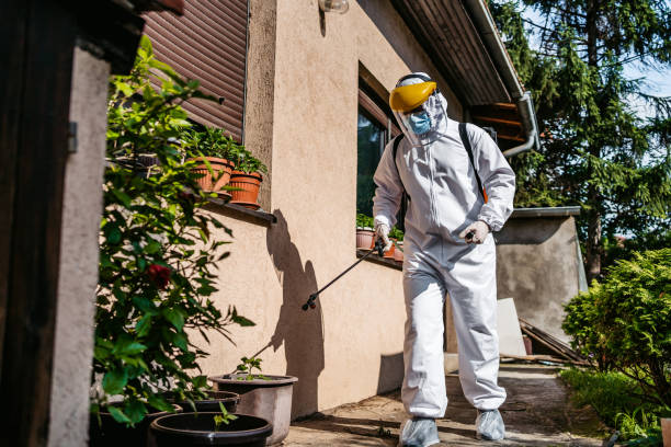 Best Insect Control  in Soh Ogden, UT