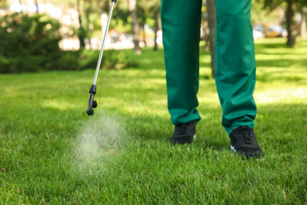 Wildlife Control Services in South Ogden, UT