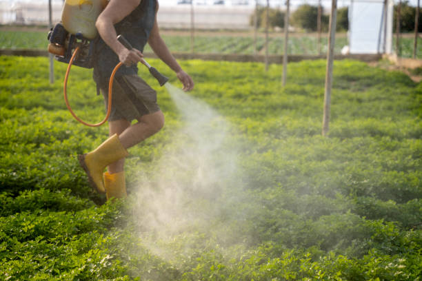 Best Affordable Pest Control Services  in Soh Ogden, UT