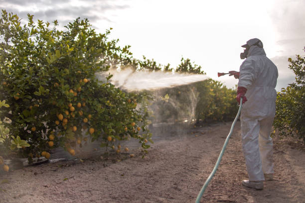 Best Exterminator Services  in Soh Ogden, UT