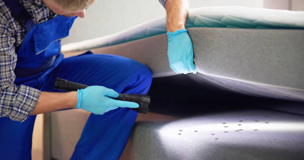 Best Flea Control Services  in Soh Ogden, UT