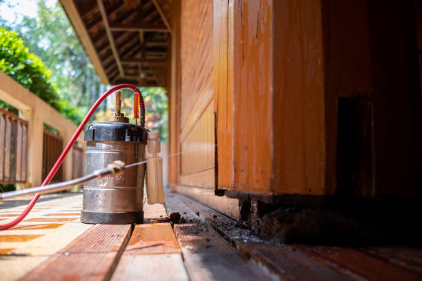 Best Pest Prevention Services  in Soh Ogden, UT