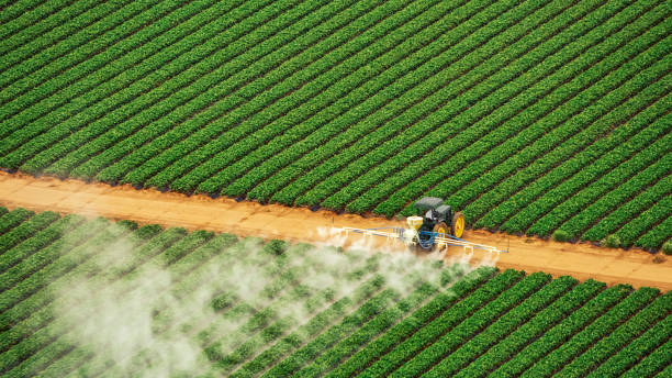 Best Termite Control Services  in Soh Ogden, UT
