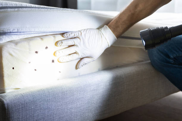 South Ogden, UT Pest Control Company