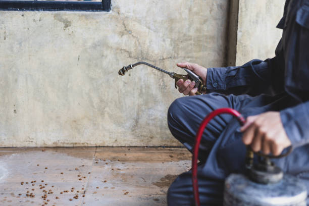 Best Cockroach Control Services  in Soh Ogden, UT